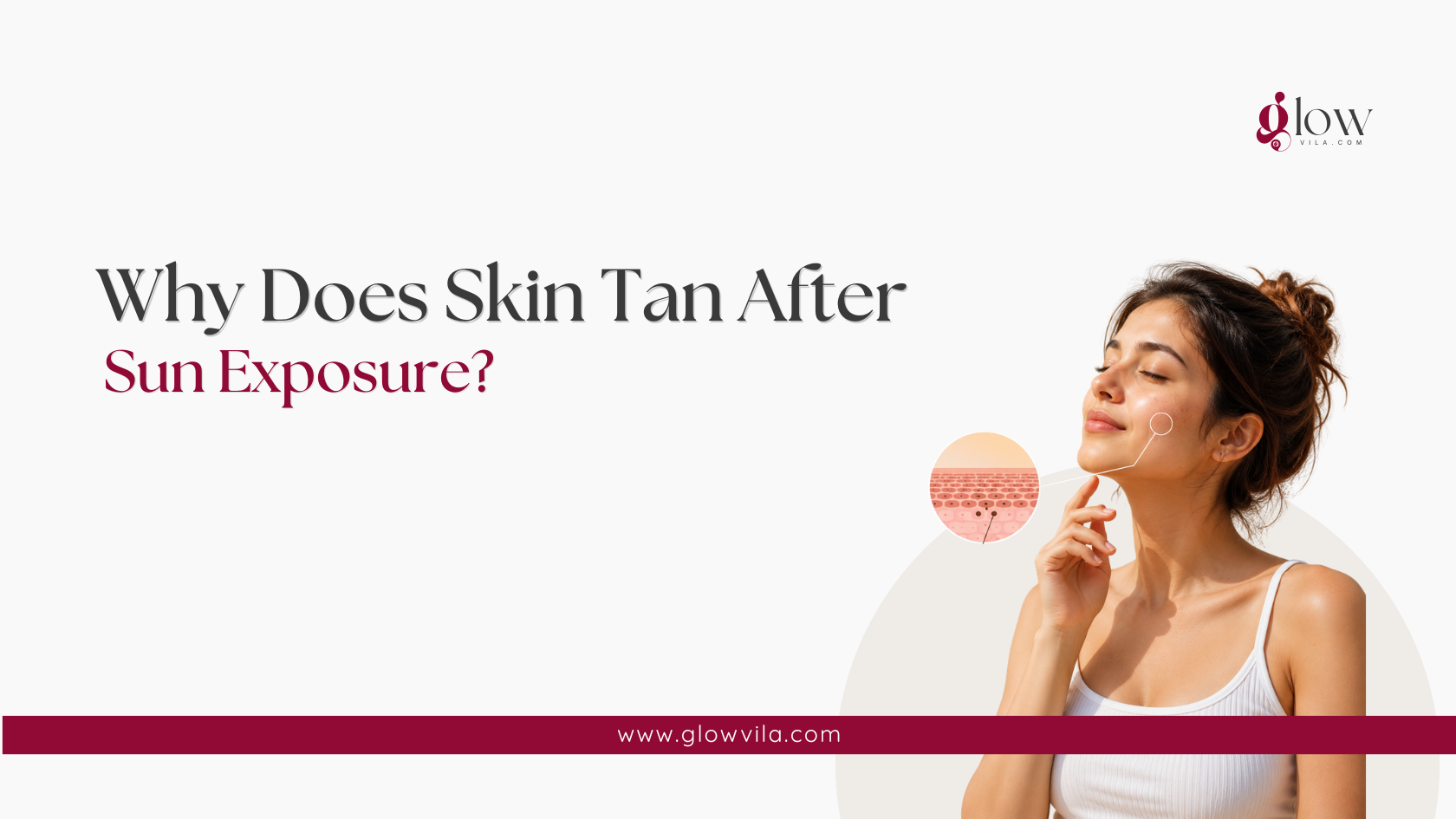 Skin cross-section illustration showing why skin tans after sun exposure